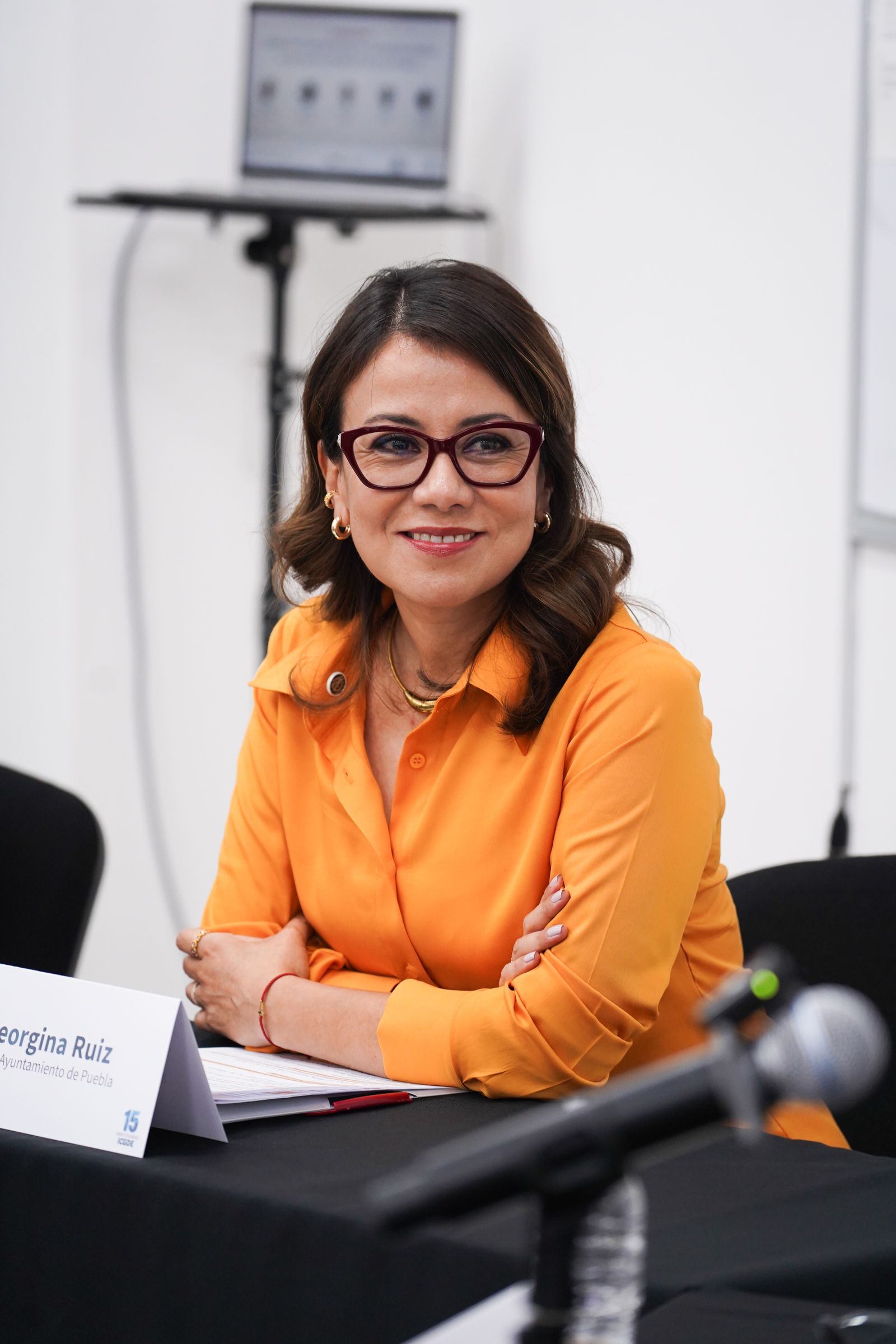 Georgina Ruiz Toledo en panel académico