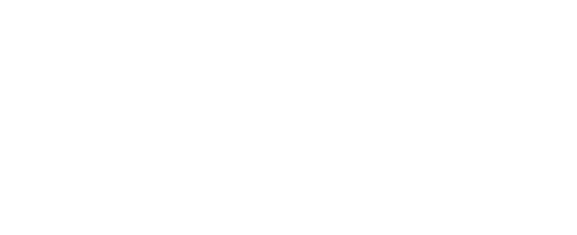 Georgina Ruiz Toledo